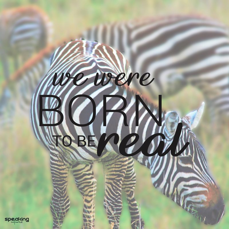 Born to be real (Tanzania, Ngorongoro Crater)