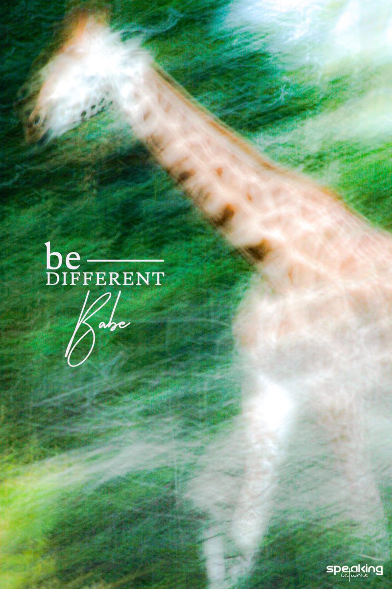 Blured running giraffe