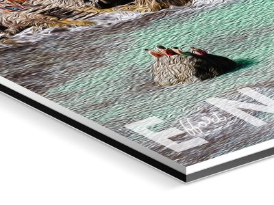 effort never dies acrylic